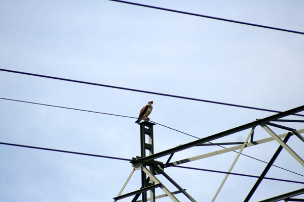 Killikus&reg; Fotographie